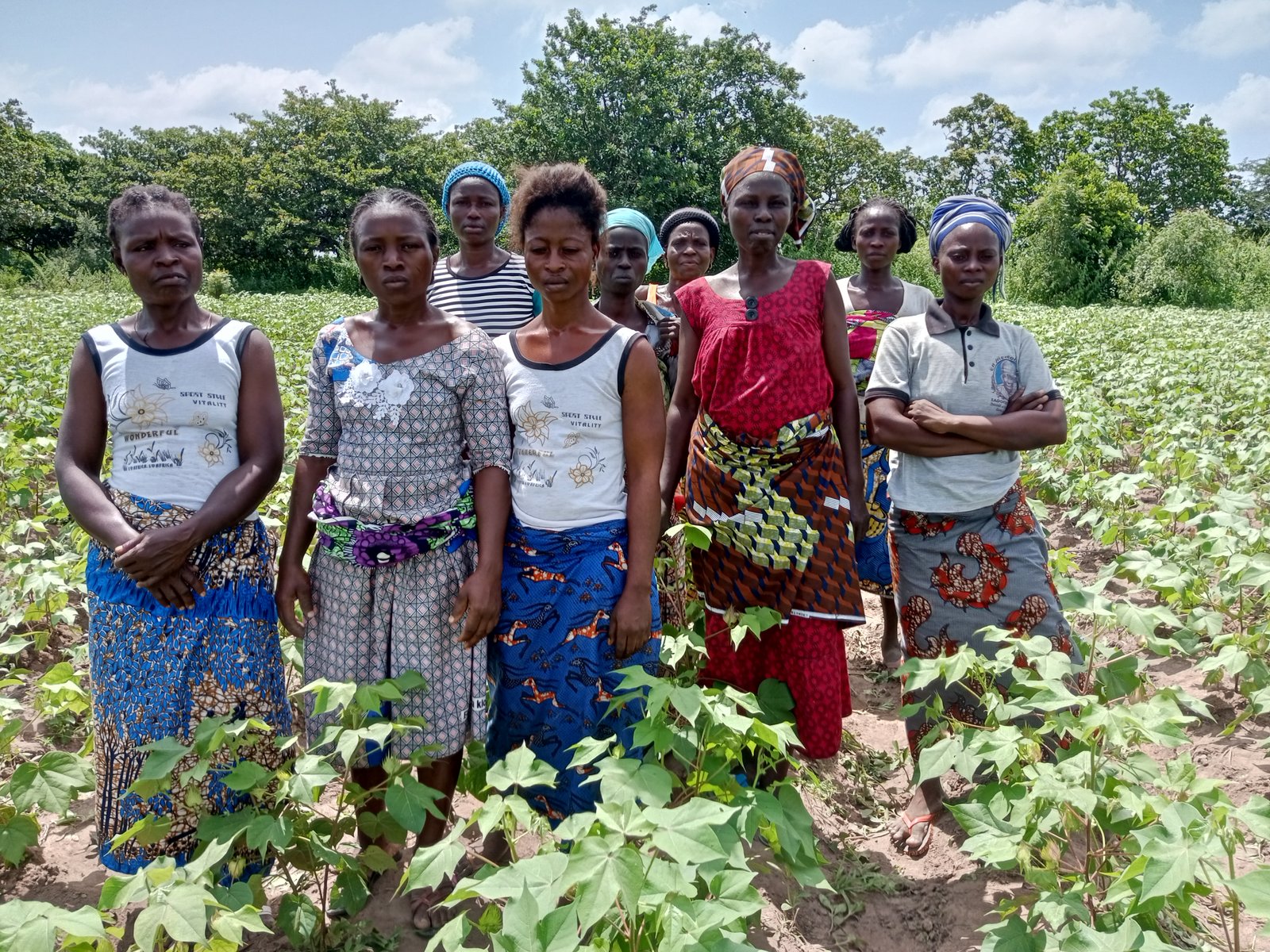 Culture de courte saison