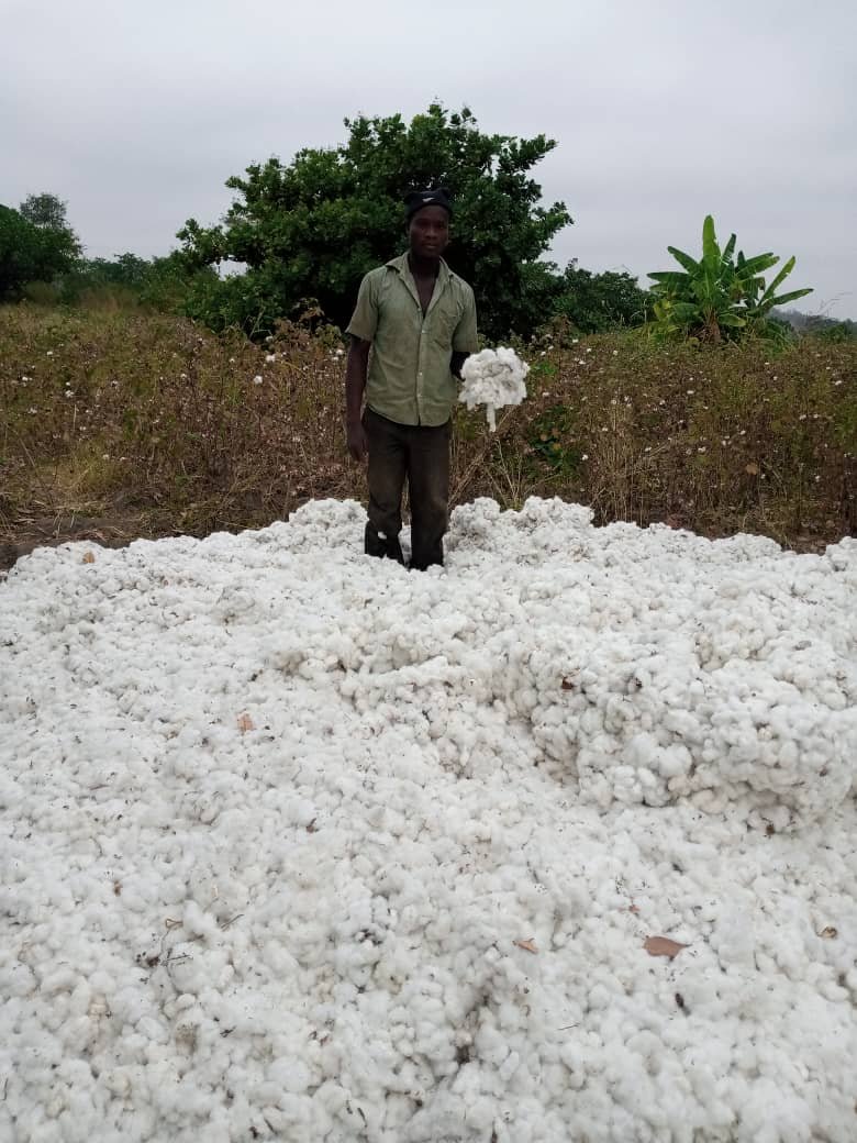 Activité sur le terrain